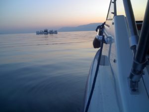 Lac Neuchâtel